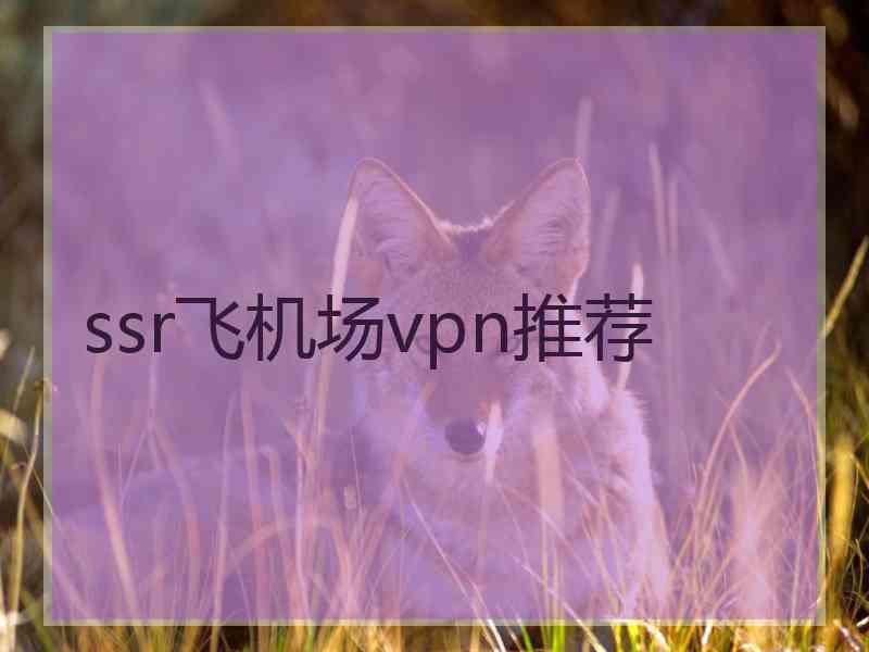 ssr飞机场vpn推荐