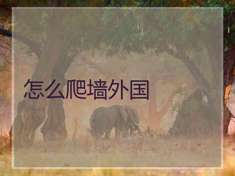怎么爬墙外国