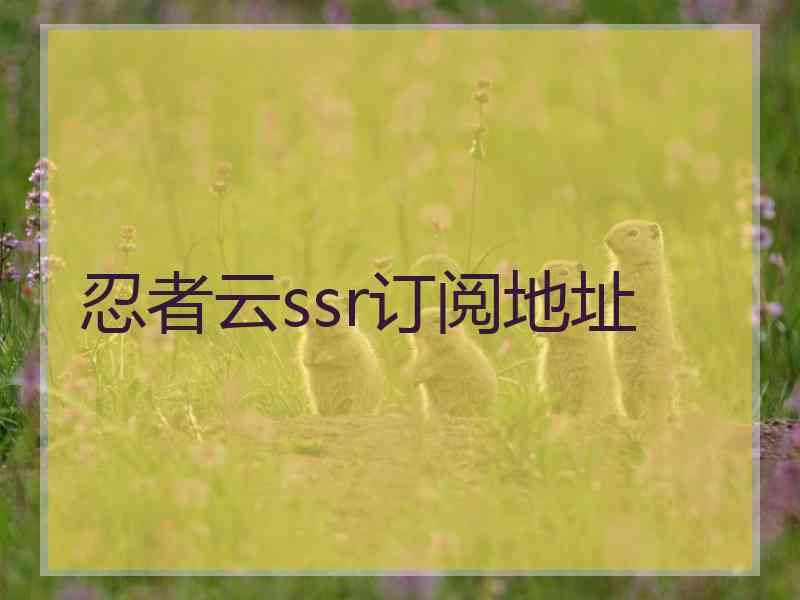 忍者云ssr订阅地址