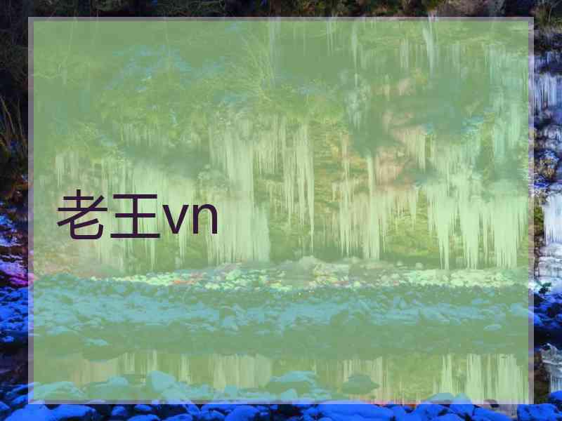老王vn