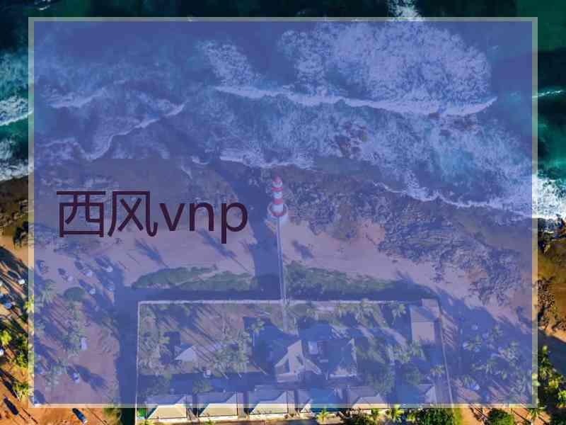 西风vnp