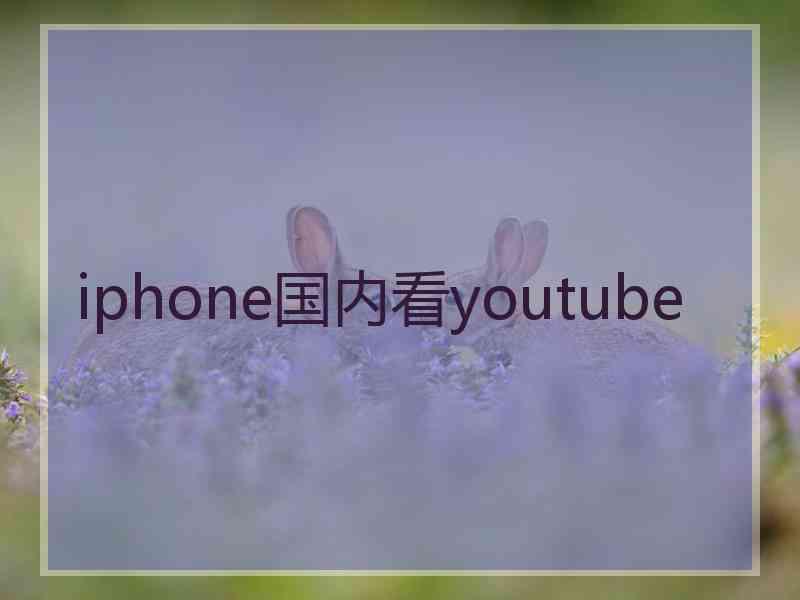 iphone国内看youtube