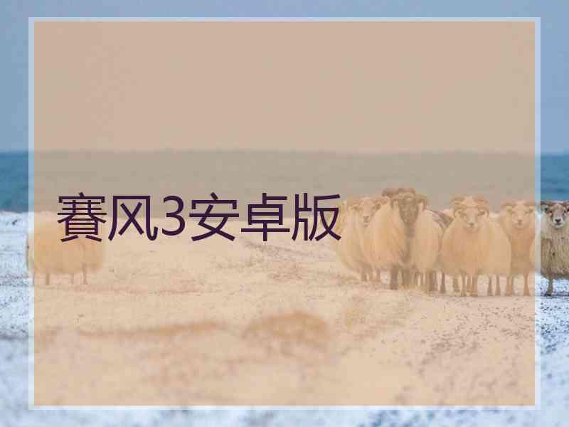 賽风3安卓版
