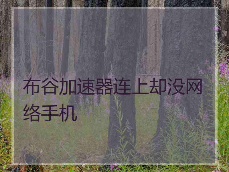 布谷加速器连上却没网络手机