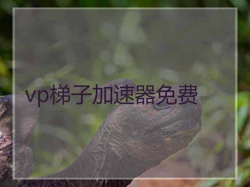 vp梯子加速器免费