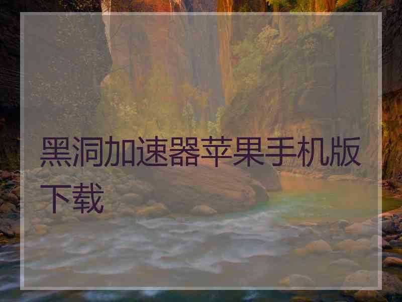 黑洞加速器苹果手机版下载