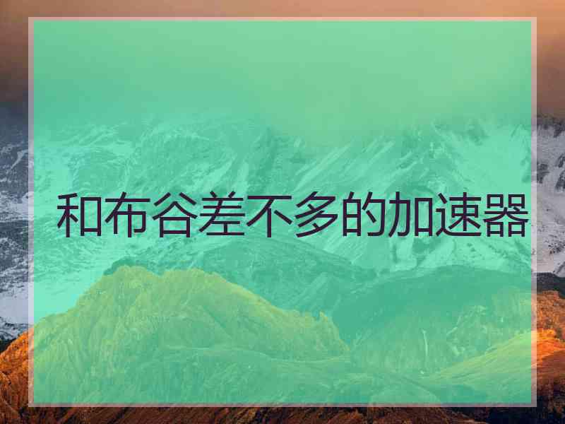 和布谷差不多的加速器