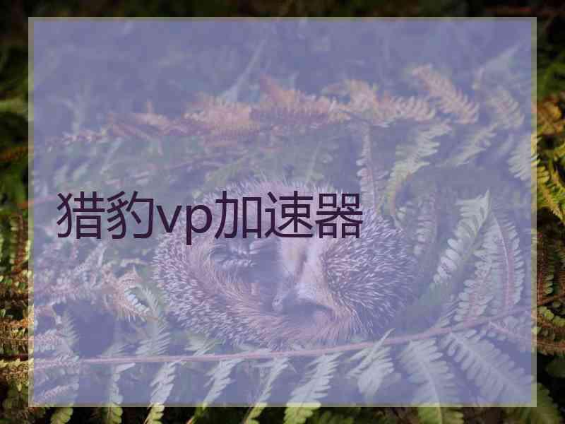 猎豹vp加速器
