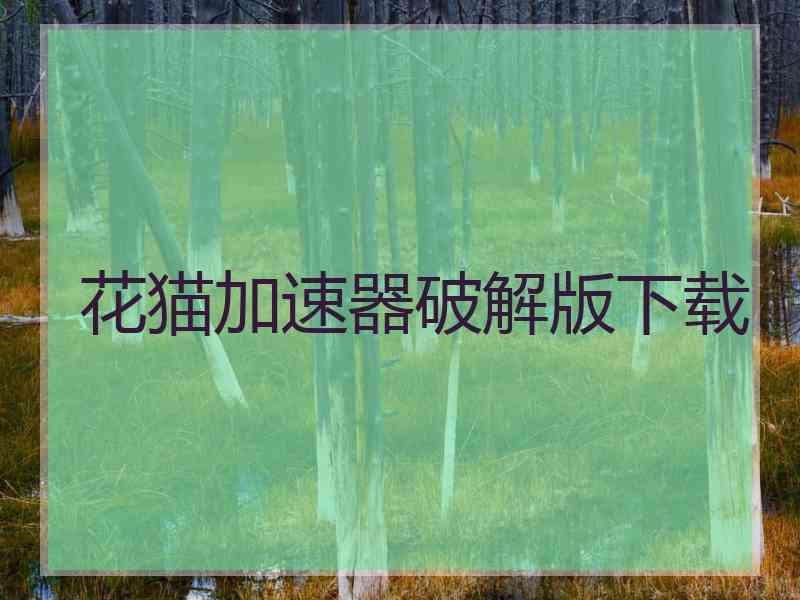 花猫加速器破解版下载