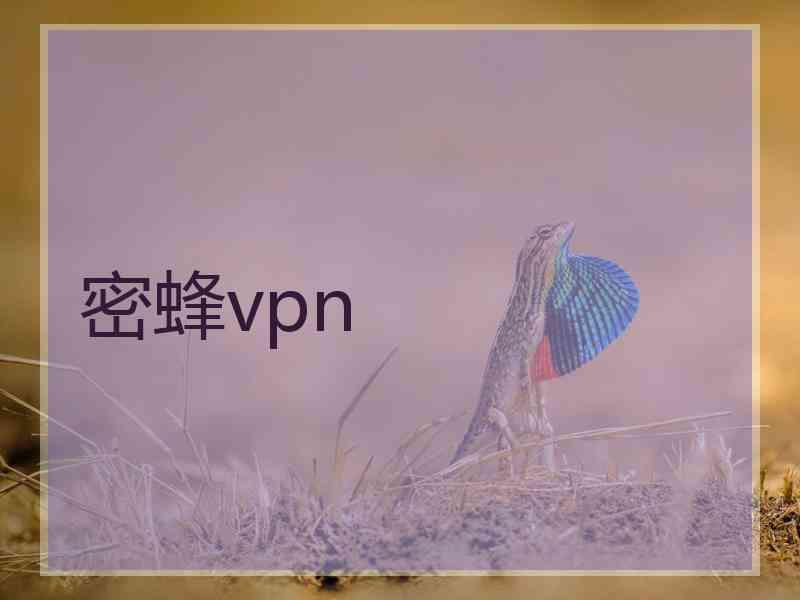 密蜂vpn