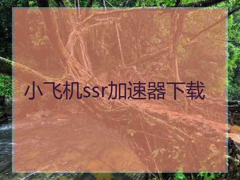 小飞机ssr加速器下载