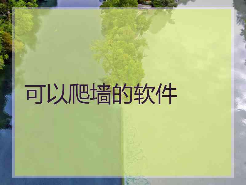 可以爬墙的软件
