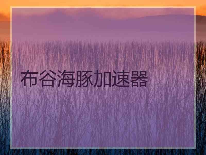 布谷海豚加速器
