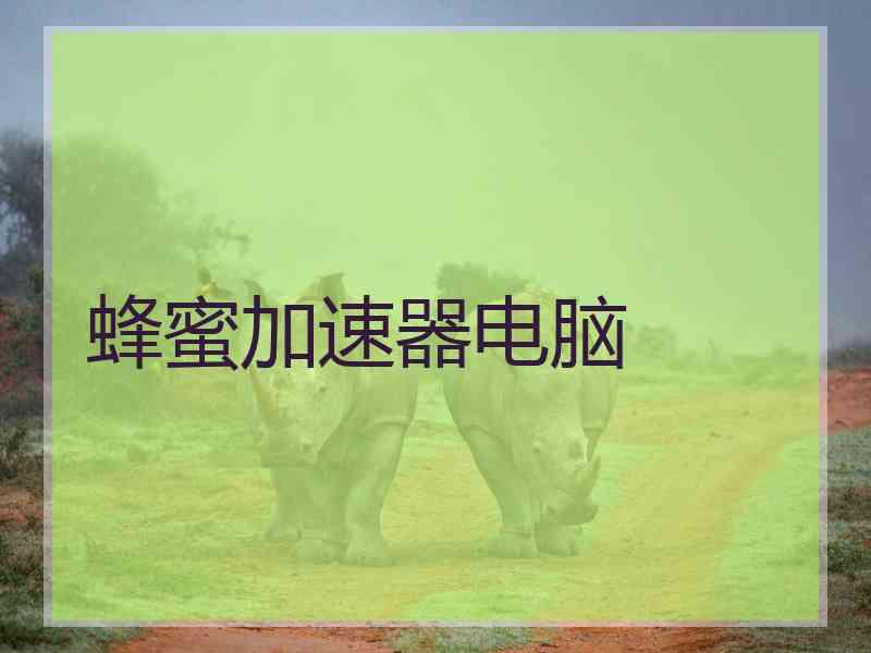 蜂蜜加速器电脑