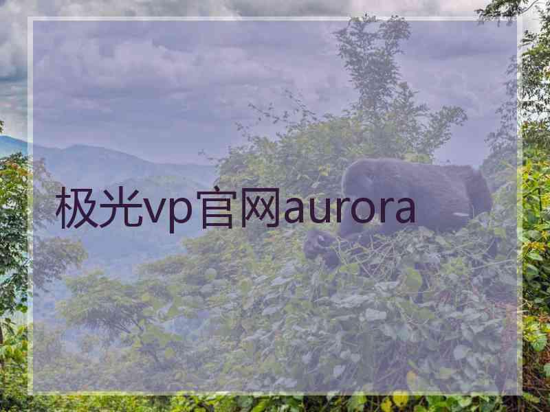 极光vp官网aurora