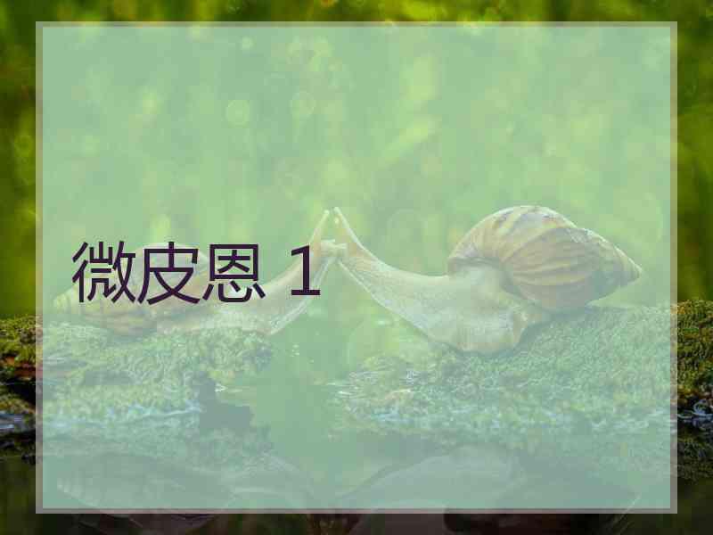 微皮恩 1