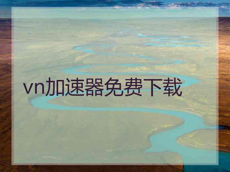 vn加速器免费下载