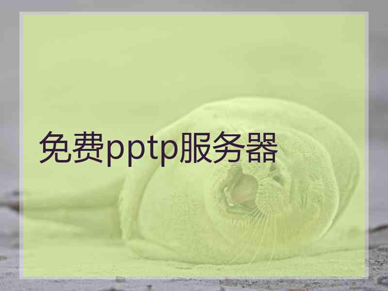 免费pptp服务器