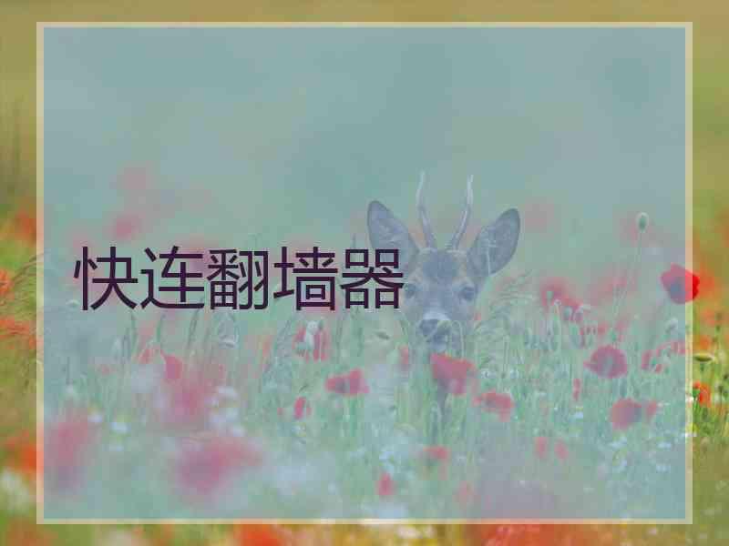 快连翻墙器