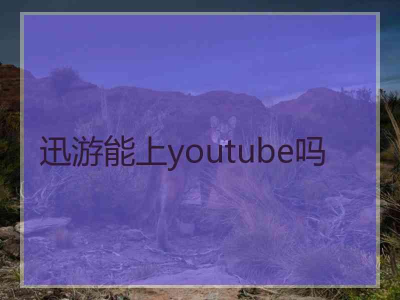 迅游能上youtube吗