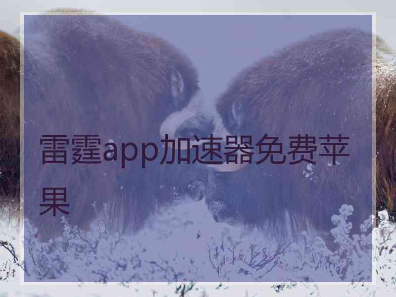 雷霆app加速器免费苹果