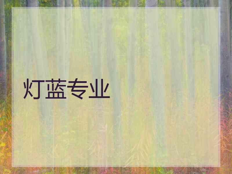 灯蓝专业