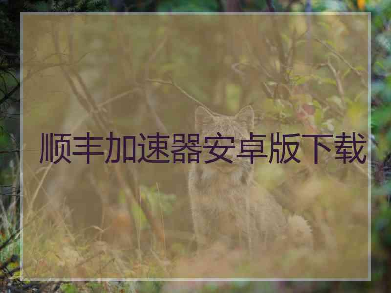 顺丰加速器安卓版下载