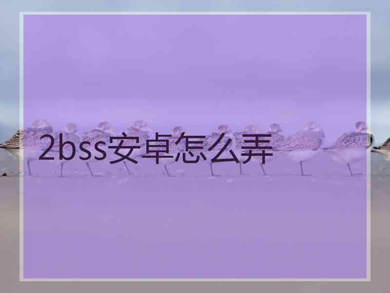 2bss安卓怎么弄