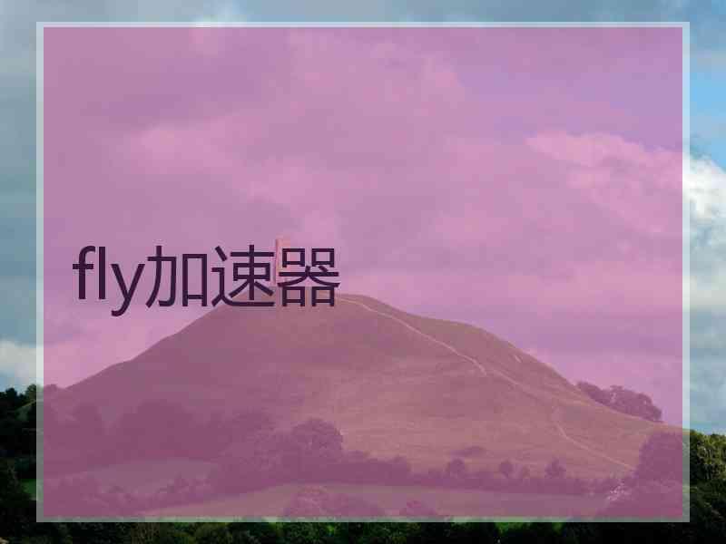 fly加速器