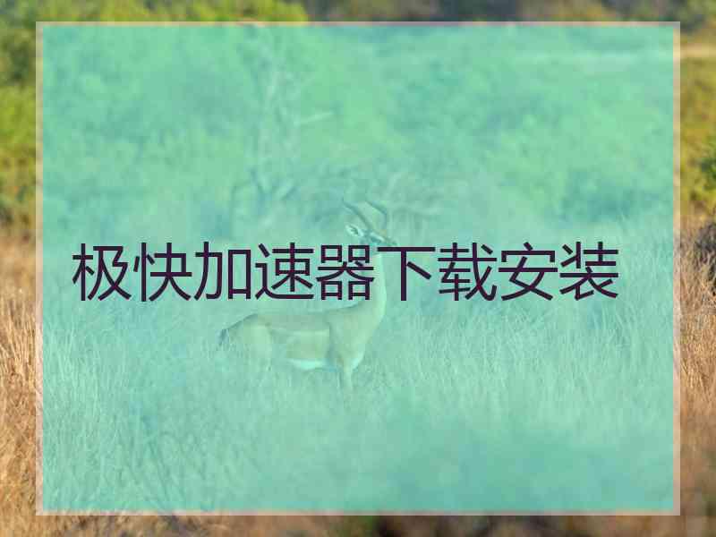 极快加速器下载安装