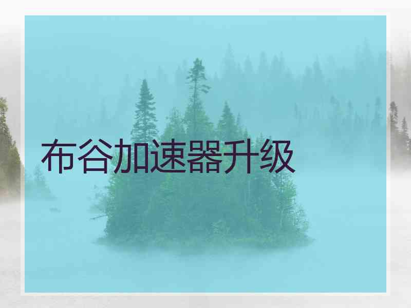 布谷加速器升级
