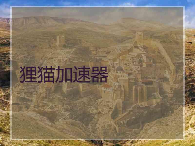 狸猫加速器