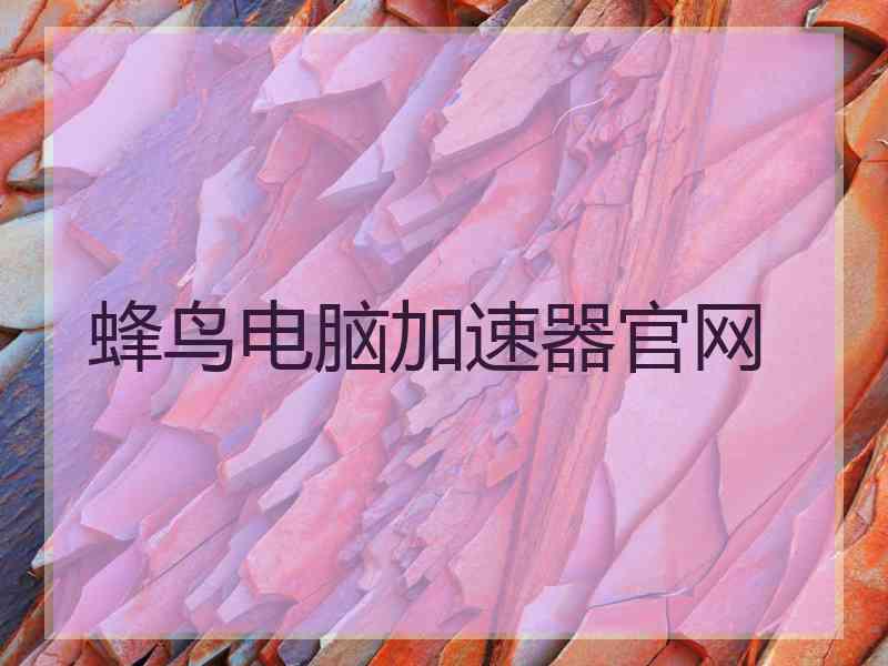 蜂鸟电脑加速器官网