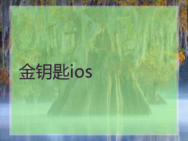 金钥匙ios