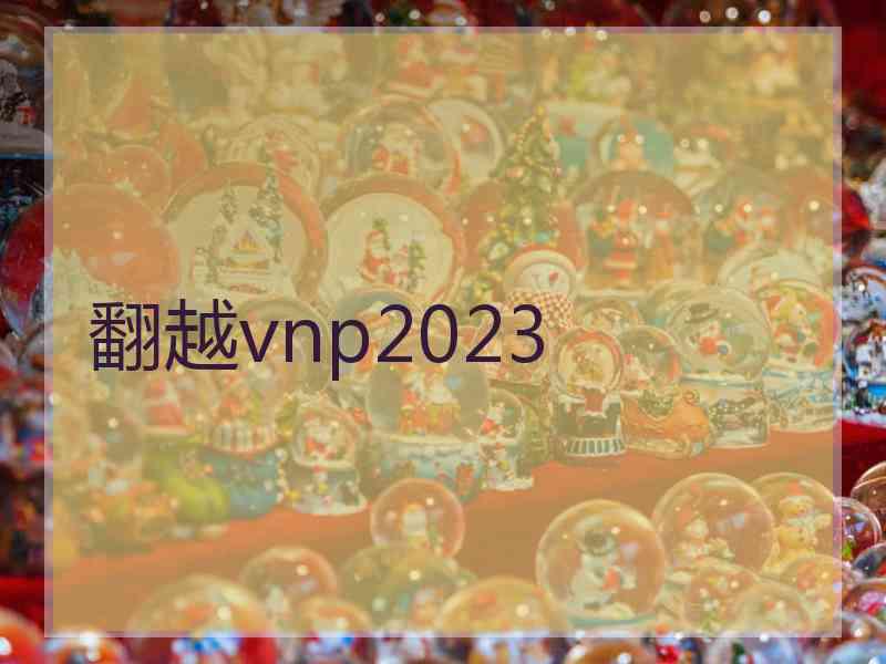 翻越vnp2023