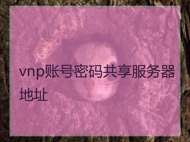 vnp账号密码共享服务器地址
