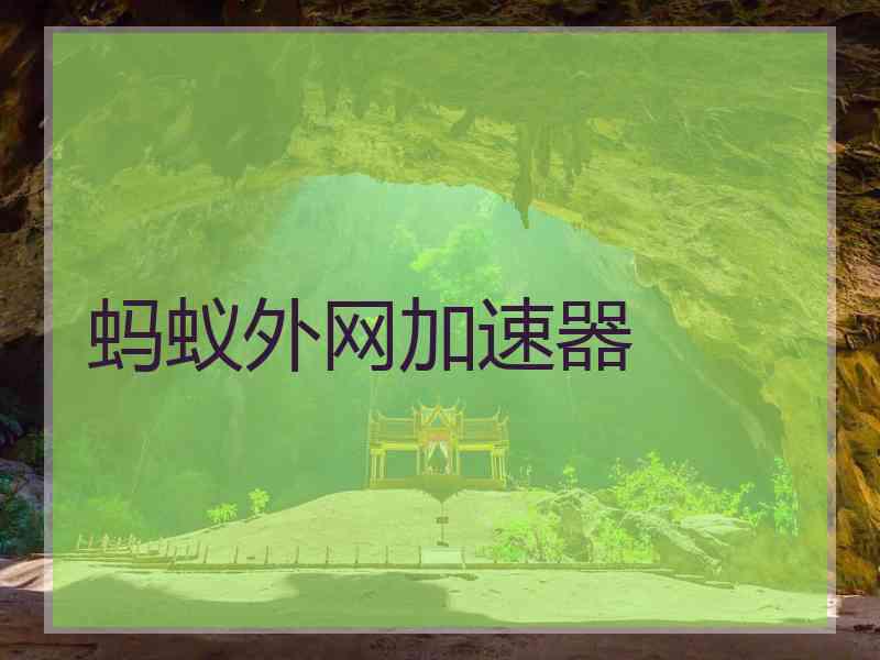 蚂蚁外网加速器