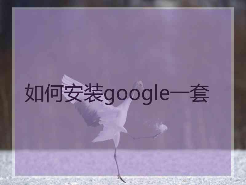 如何安装google一套