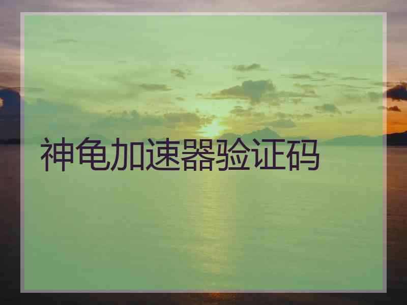 神龟加速器验证码