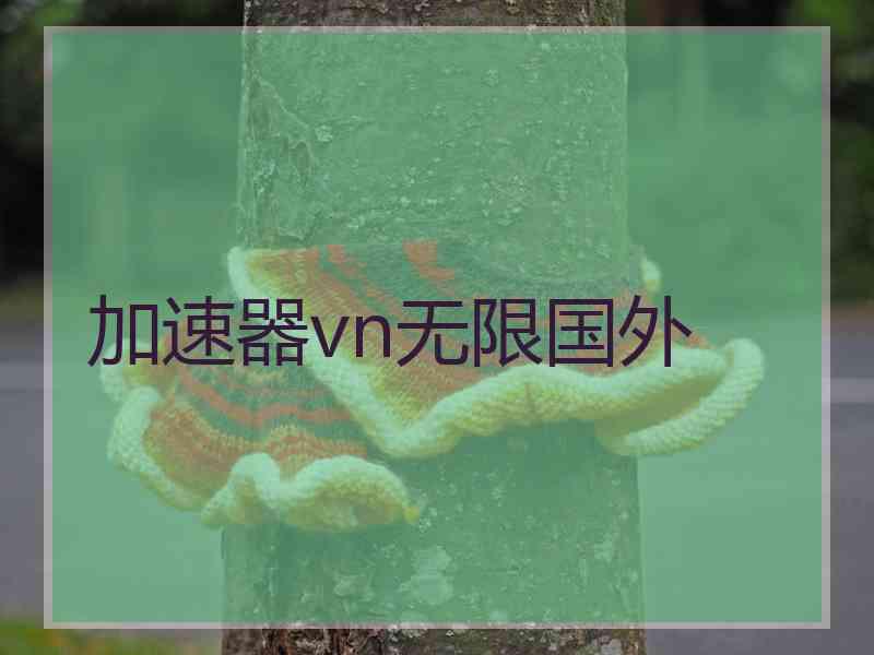 加速器vn无限国外