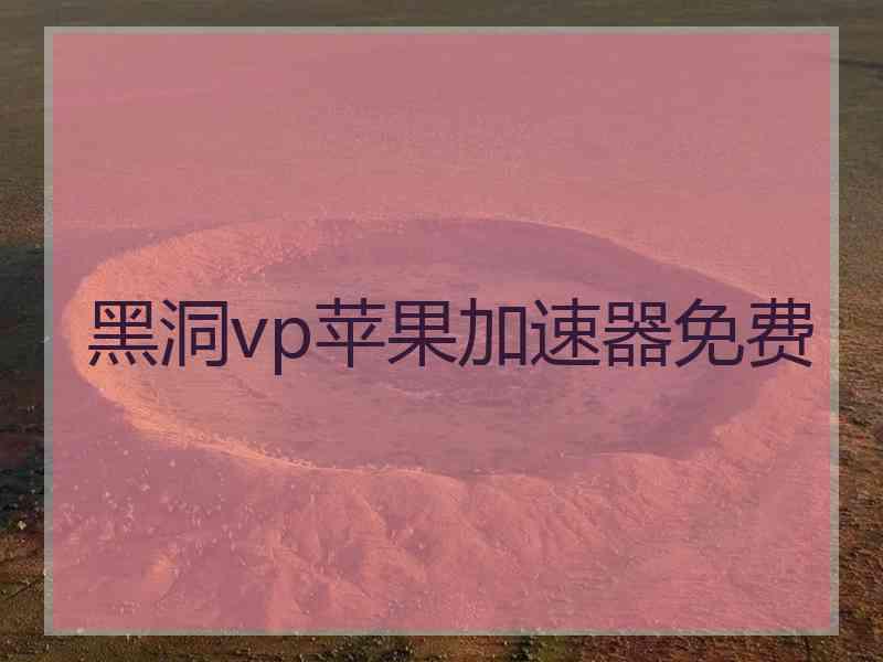 黑洞vp苹果加速器免费