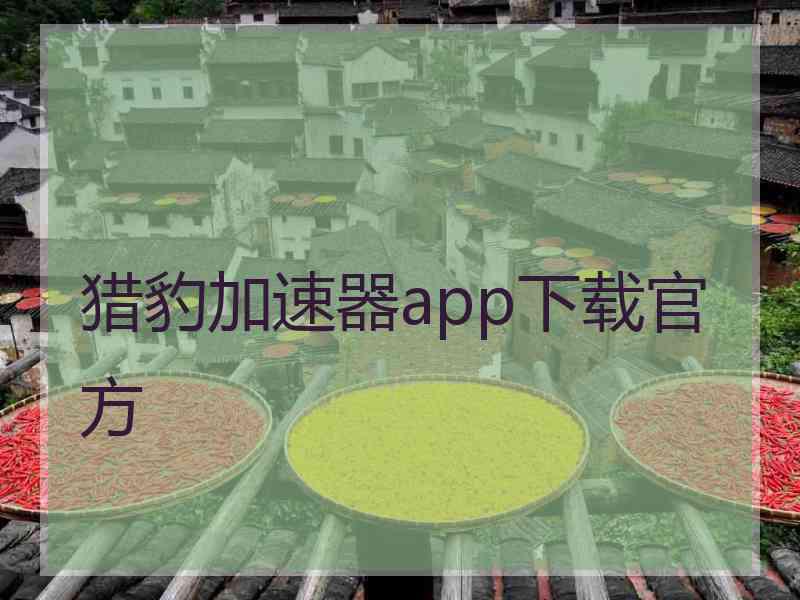 猎豹加速器app下载官方
