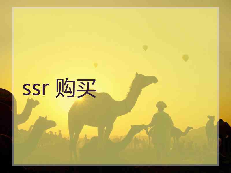 ssr 购买