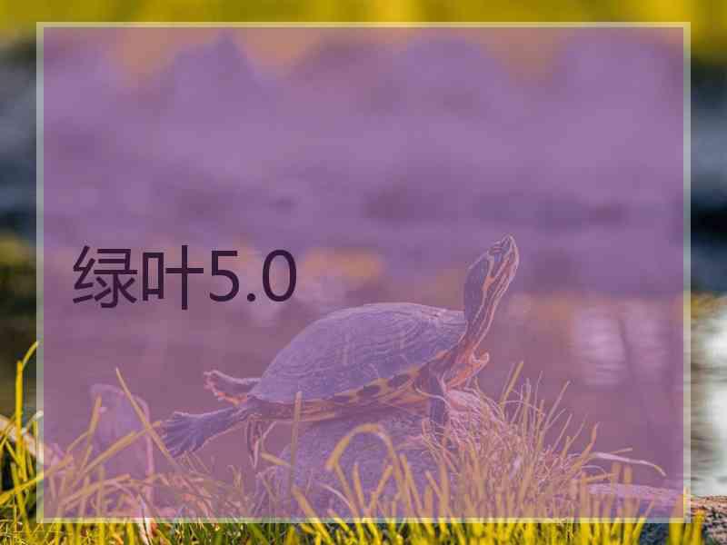 绿叶5.0