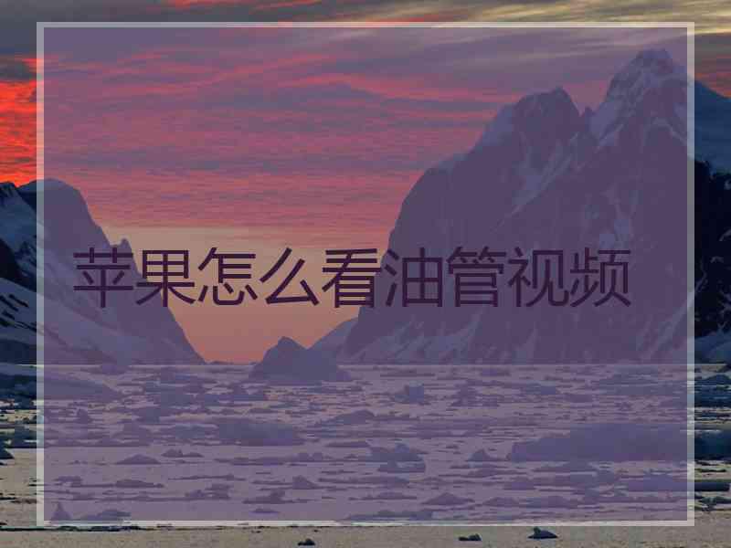苹果怎么看油管视频