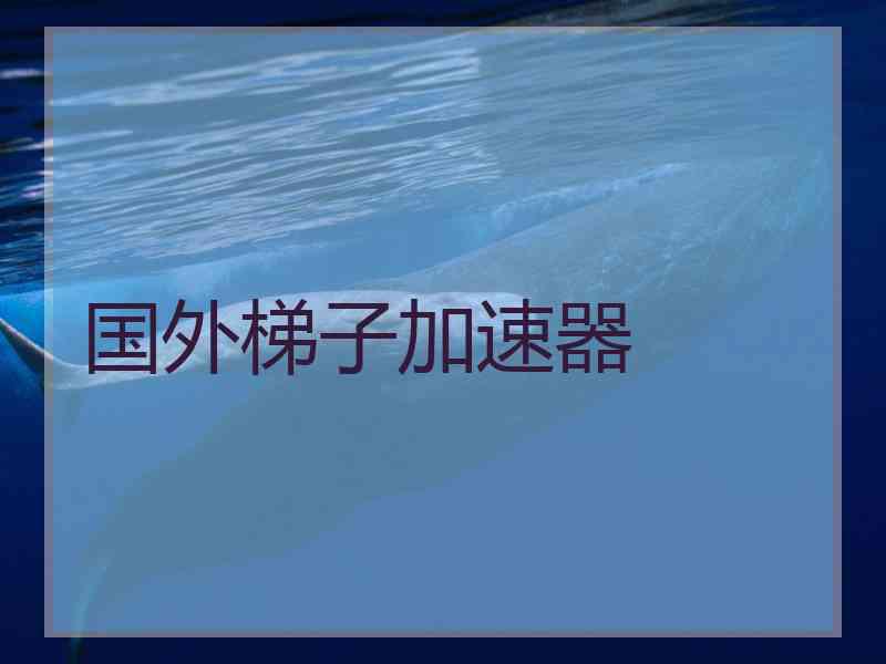 国外梯子加速器
